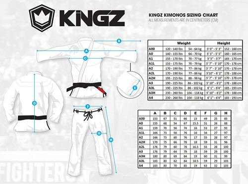 KINGZ���Ѱ� NANŌ JIU JITSU GI �ۥ磻��