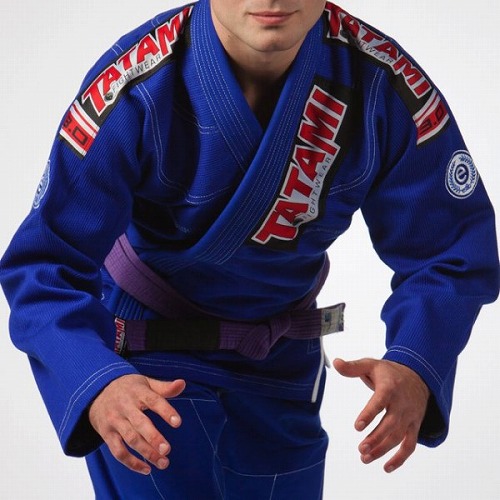 Tatami�����ѰᡡEstilo3.0��Premier����