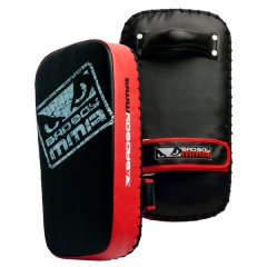 BADBOY MMA THAI PADS 1ヶ